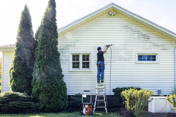 Best Local Pressure Washing Services  in Fairfield, AL